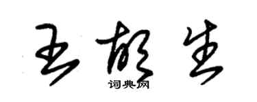 朱錫榮王胡生草書個性簽名怎么寫