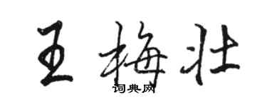 駱恆光王梅壯行書個性簽名怎么寫