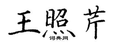 丁謙王照芹楷書個性簽名怎么寫