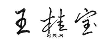 駱恆光王桂寶行書個性簽名怎么寫