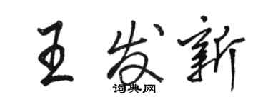 駱恆光王發新行書個性簽名怎么寫