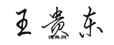 駱恆光王貴東行書個性簽名怎么寫