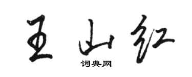 駱恆光王山紅行書個性簽名怎么寫