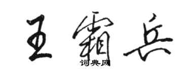 駱恆光王霜兵行書個性簽名怎么寫