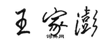 駱恆光王家澎行書個性簽名怎么寫