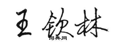 駱恆光王欽林行書個性簽名怎么寫