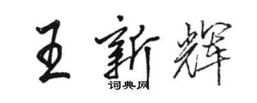 駱恆光王新輝行書個性簽名怎么寫