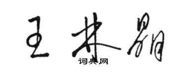 駱恆光王林晶草書個性簽名怎么寫