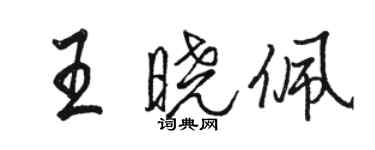 駱恆光王曉佩行書個性簽名怎么寫