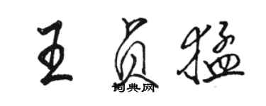 駱恆光王貞猛行書個性簽名怎么寫