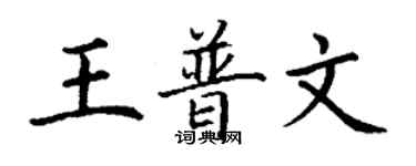丁謙王普文楷書個性簽名怎么寫
