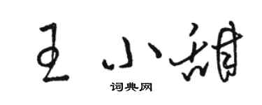 駱恆光王小甜草書個性簽名怎么寫