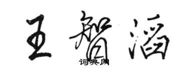 駱恆光王智滔行書個性簽名怎么寫