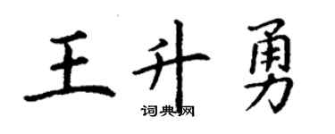丁謙王升勇楷書個性簽名怎么寫