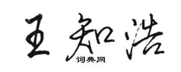 駱恆光王知浩行書個性簽名怎么寫