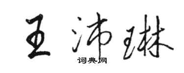 駱恆光王沛琳行書個性簽名怎么寫