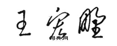 駱恆光王宏野草書個性簽名怎么寫