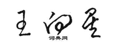 駱恆光王向星草書個性簽名怎么寫