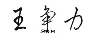 駱恆光王爭力行書個性簽名怎么寫