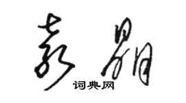 駱恆光袁晶草書個性簽名怎么寫