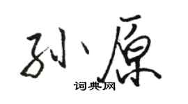 駱恆光孫原行書個性簽名怎么寫
