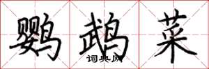 荊霄鵬鸚鵡菜楷書怎么寫