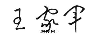 駱恆光王家軍草書個性簽名怎么寫