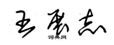 朱錫榮王展志草書個性簽名怎么寫