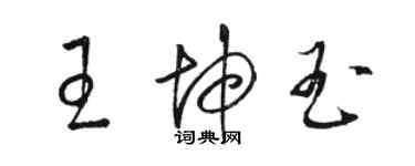 駱恆光王坤玉草書個性簽名怎么寫