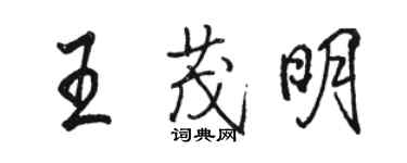 駱恆光王茂明行書個性簽名怎么寫