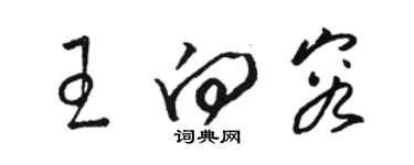 駱恆光王向容草書個性簽名怎么寫