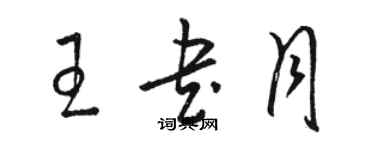 駱恆光王書月草書個性簽名怎么寫