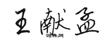 駱恆光王獻孟行書個性簽名怎么寫