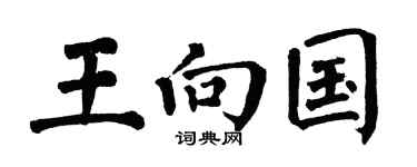 翁闓運王向國楷書個性簽名怎么寫