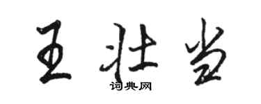 駱恆光王壯當行書個性簽名怎么寫