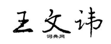 曾慶福王文諱行書個性簽名怎么寫