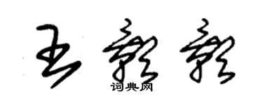 朱錫榮王影影草書個性簽名怎么寫