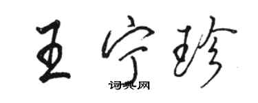 駱恆光王寧珍行書個性簽名怎么寫