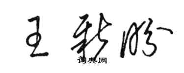 駱恆光王新盼草書個性簽名怎么寫