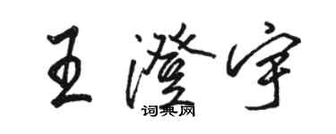 駱恆光王澄宇行書個性簽名怎么寫