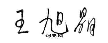 駱恆光王旭晶草書個性簽名怎么寫