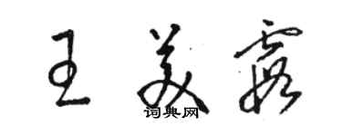 駱恆光王美霞草書個性簽名怎么寫