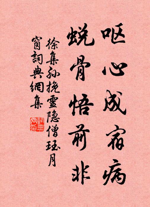 不飄紅雨，不貪青子，冷澹卻相宜 詩詞名句