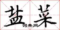 周炳元鹽菜楷書怎么寫