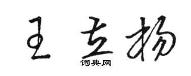 駱恆光王立楊草書個性簽名怎么寫
