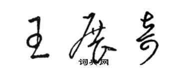 駱恆光王展奇草書個性簽名怎么寫