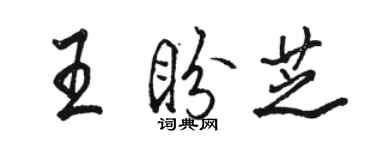 駱恆光王盼芝行書個性簽名怎么寫