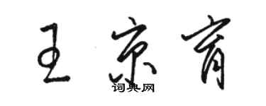 駱恆光王京育草書個性簽名怎么寫