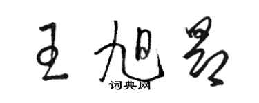 駱恆光王旭昂草書個性簽名怎么寫