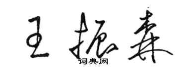 駱恆光王振森草書個性簽名怎么寫